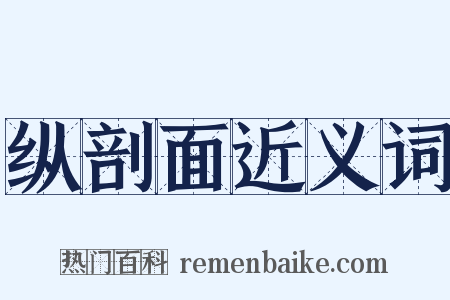 纵剖面近义词是什么意思的图片